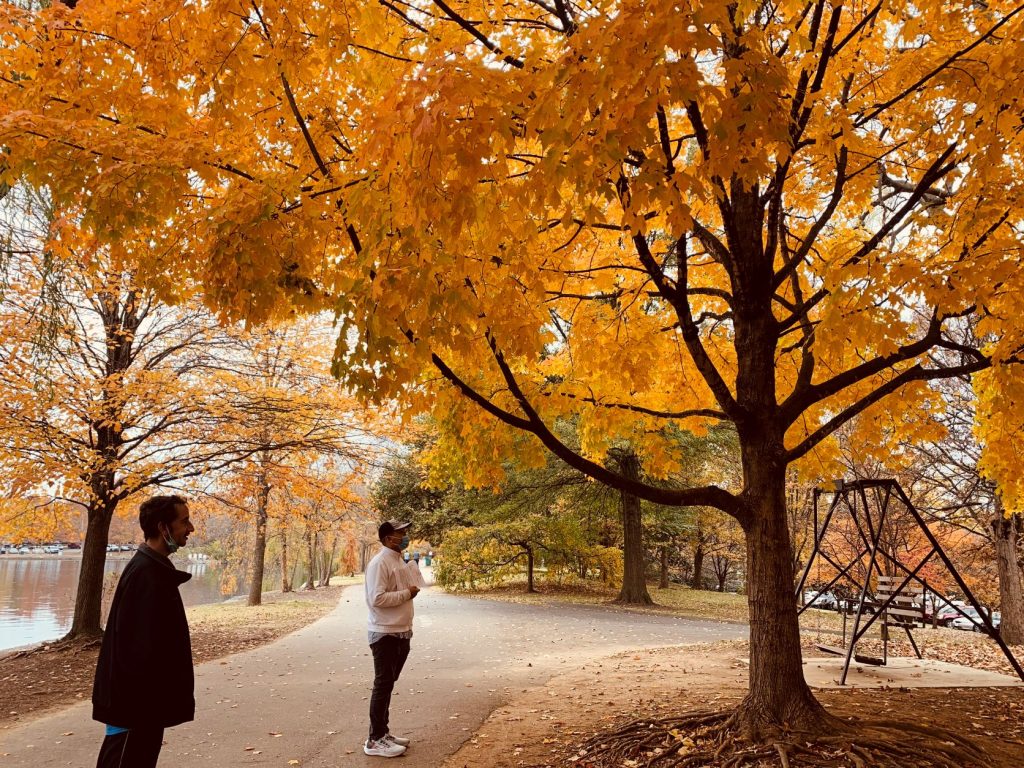 Members admiring the fall leaves during a community outing.